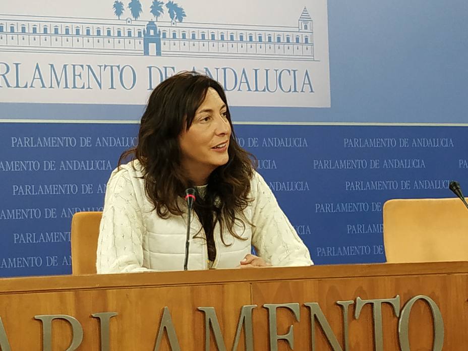 PP-A exige a Susana Díaz que rompa su silencio y se enfrente a Sánchez tras el éxito de la concentración en Madrid