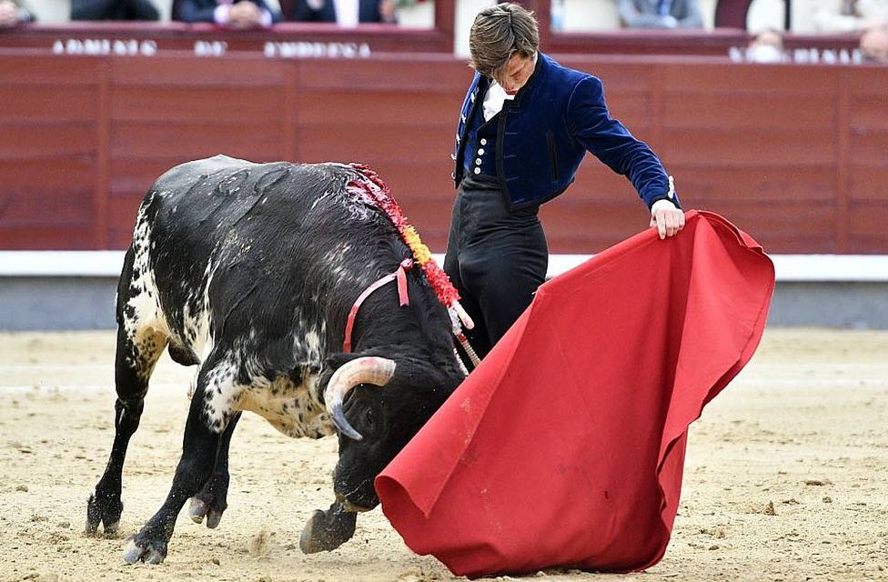 Extraordinario natural de El Juli al toro de Garcigrande que ha lidiado este domingo en Las Ventas