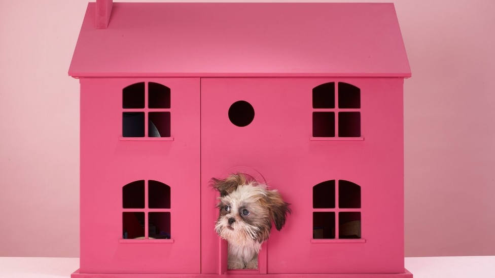 Así es la casa para perros más exclusiva del mundo: por 142.000 euros