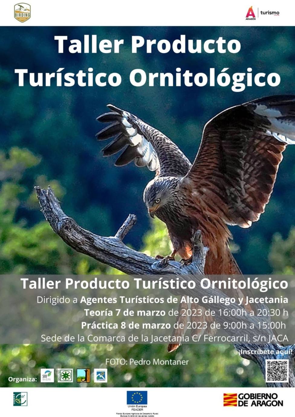 ctv-zea-taller-ornitologia