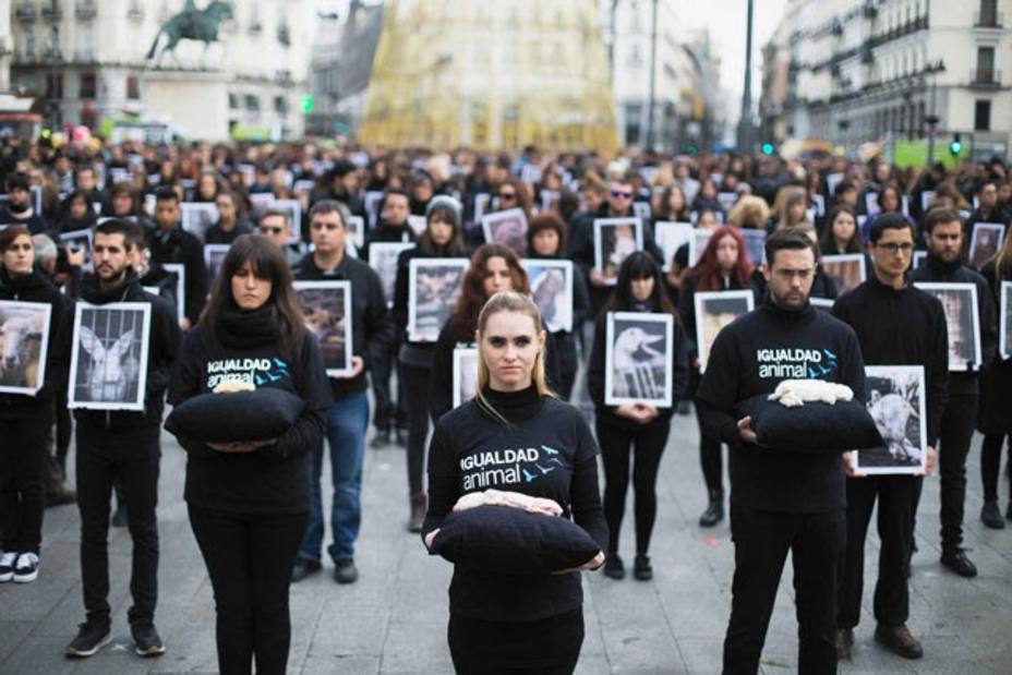 Activistas de Igualdad Animal organizan un acto de protesta en Sol (Madrid) por el Día de los Derechos Animales