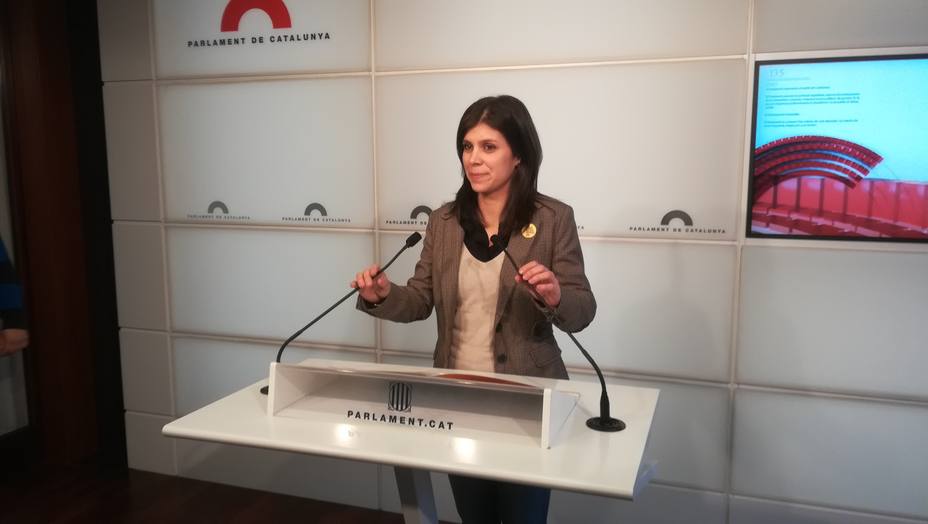 ERC respeta el recurso de Puigdemont pero defiende que el Parlament veló por sus derechos
