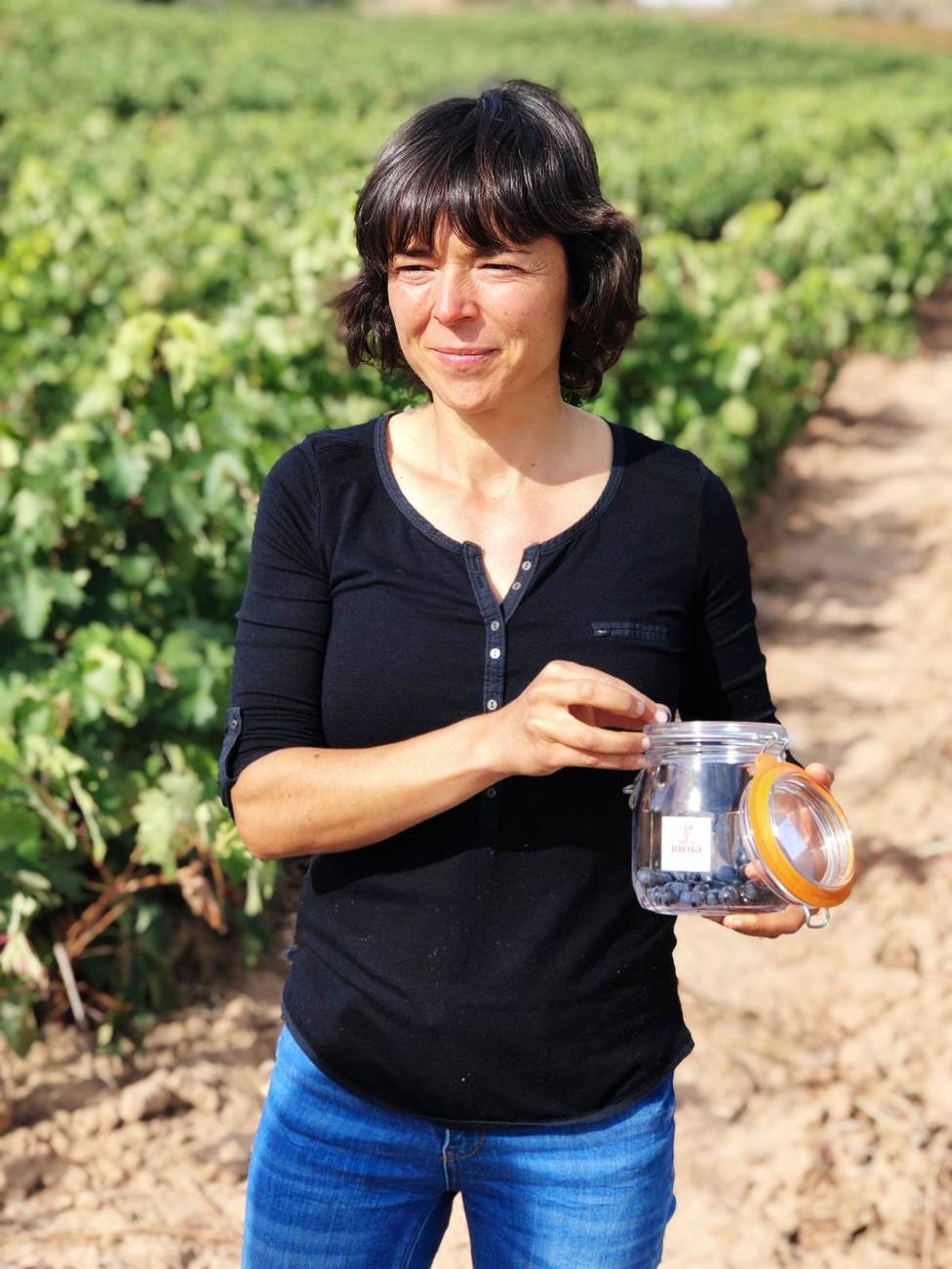 El Consejo Regulador de la DO Rioja asegura que la cosecha de este año podría ser histórica