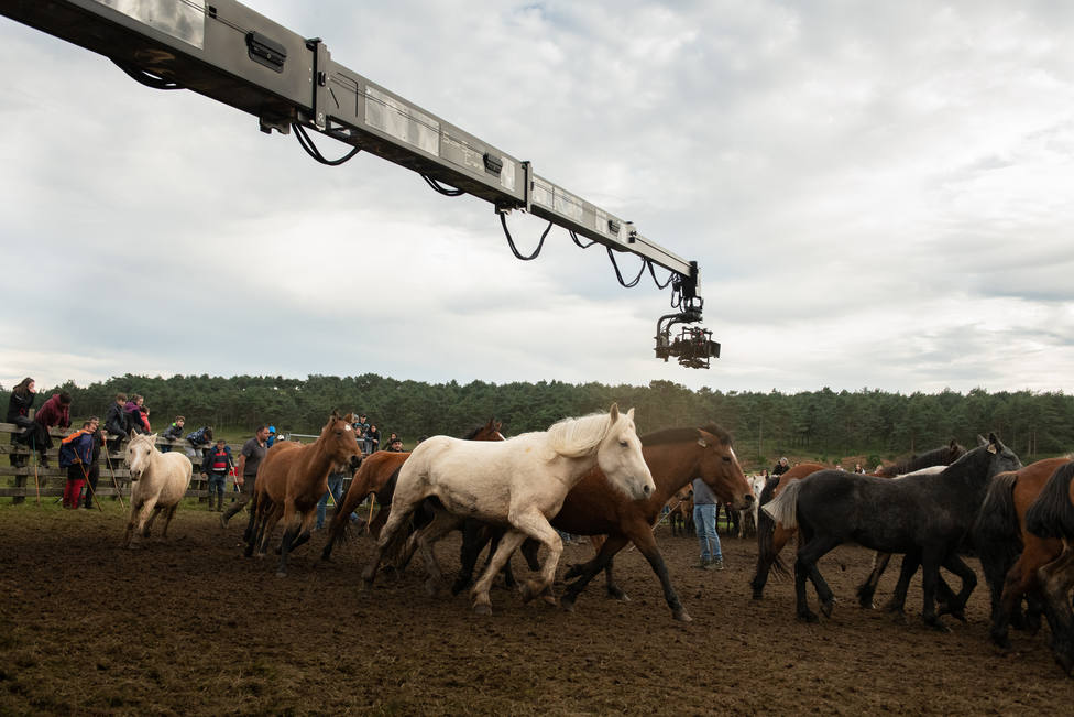 El paso de los caballos a su paso por el curro - FOTO: Movistar + / Jaime Olmedo