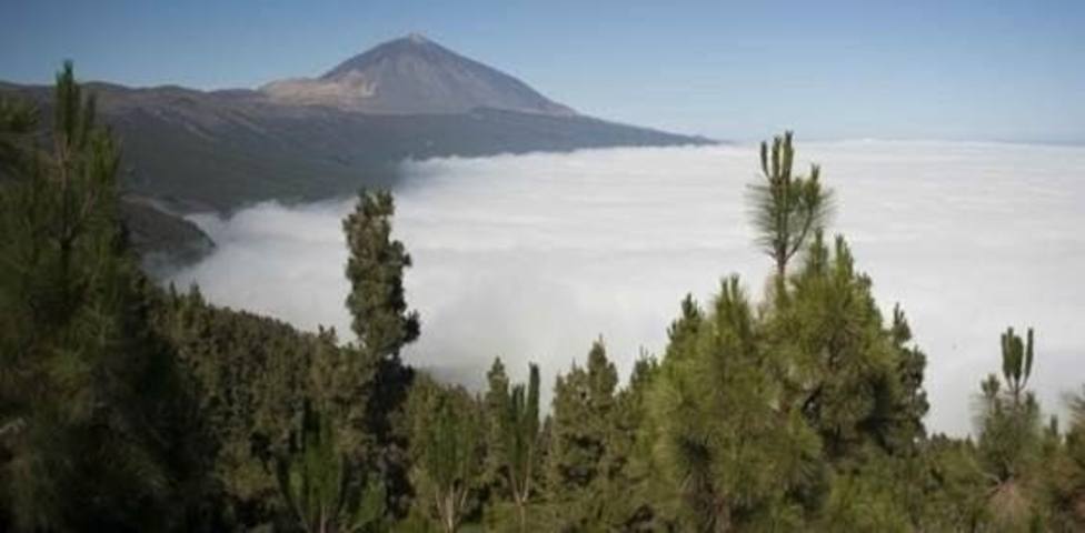Teide y DoÃ±ana son los mÃ¡s amenazados de la Red de Parques Nacionales de EspaÃ±a, segÃºn el CSIC