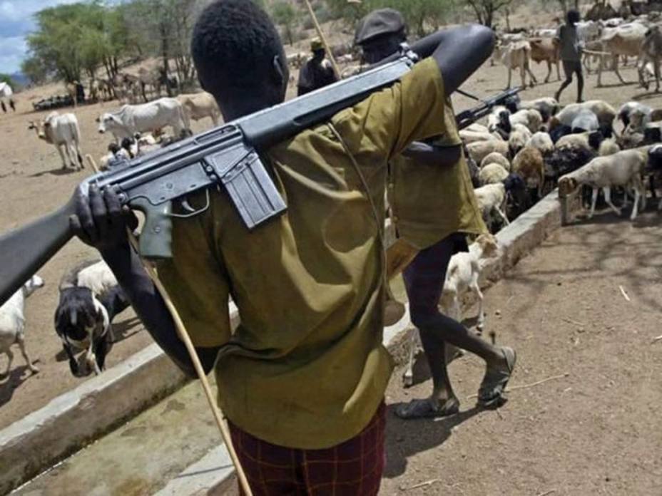 Al menos 86 muertos en ataques de pastores armados en Nigeria