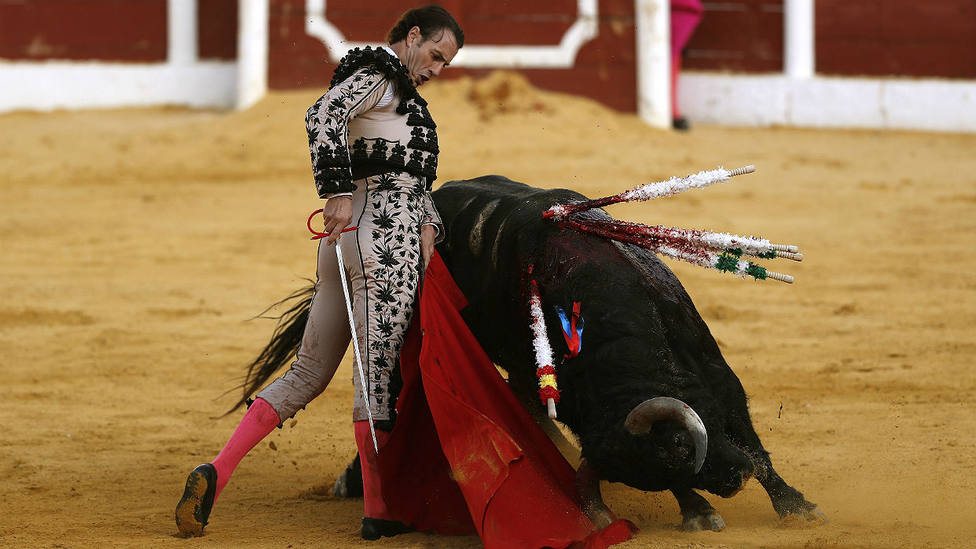 Trincherazo de Finito de Córdoba a Doctor, el toro de Zalduendo indultado en Antequera