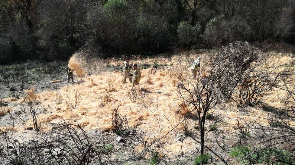 Brigadas de Medio Rural reparten paja en los montes de Queirugás para evitar la erosión