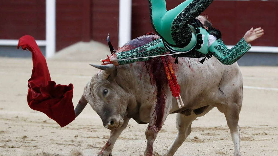 El diestro Javier Cortés sufre una cogida con su segundo toro durante el trigésimo festejo de la Feria de San Isidro