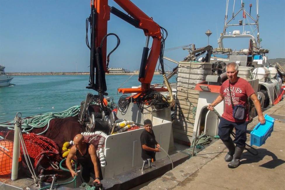 España asume un recorte del 8% en la pesca de merluza sur para 2022
