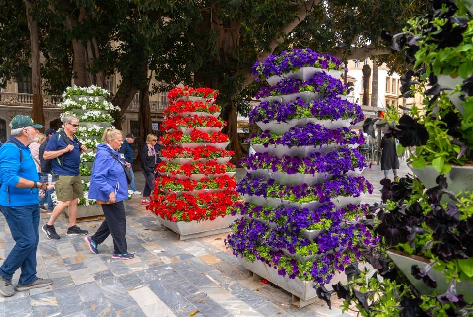 Decoración floral en la plaza San Francisco de Cartagena