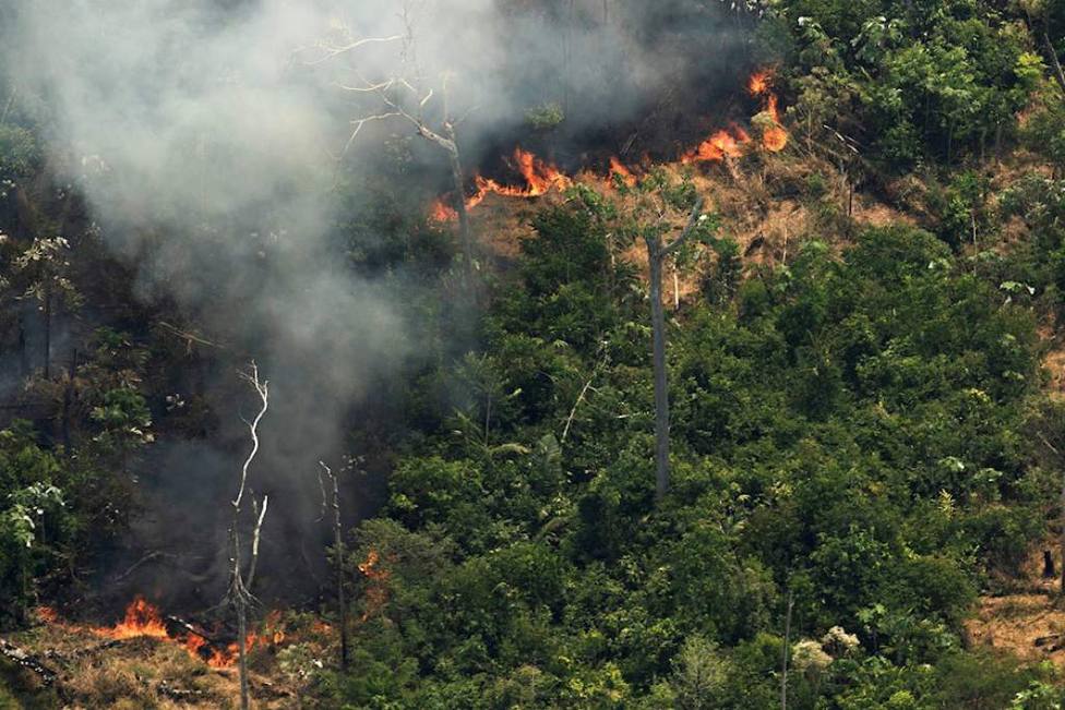 Lo que debes saber del incendio de la Amazonía: su causa, sus consecuencias y la responsabilidad de Bolsonaro