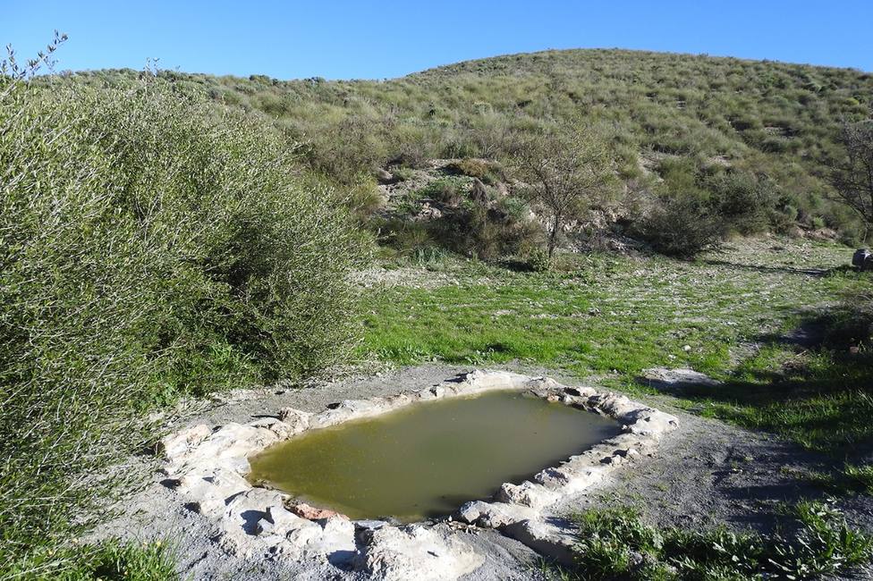 Recuperan tres hectáreas de bancales abandonados en la Sierra de la Almenara para la fauna silvestre