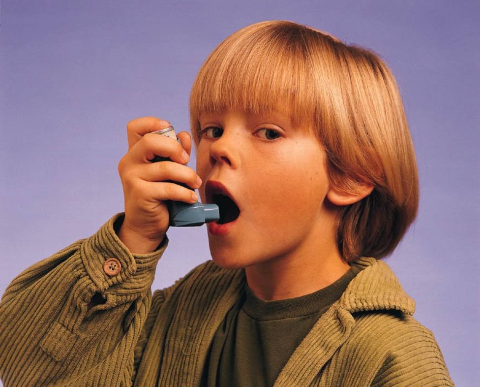 Más del 80% de los casos de asma infantil son de tipo alérgico, según un experto