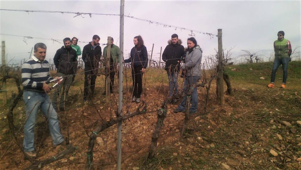ctv-wxs-jornada-prctica-del-mster-viticultura-y-enologa-de-la-ule-01
