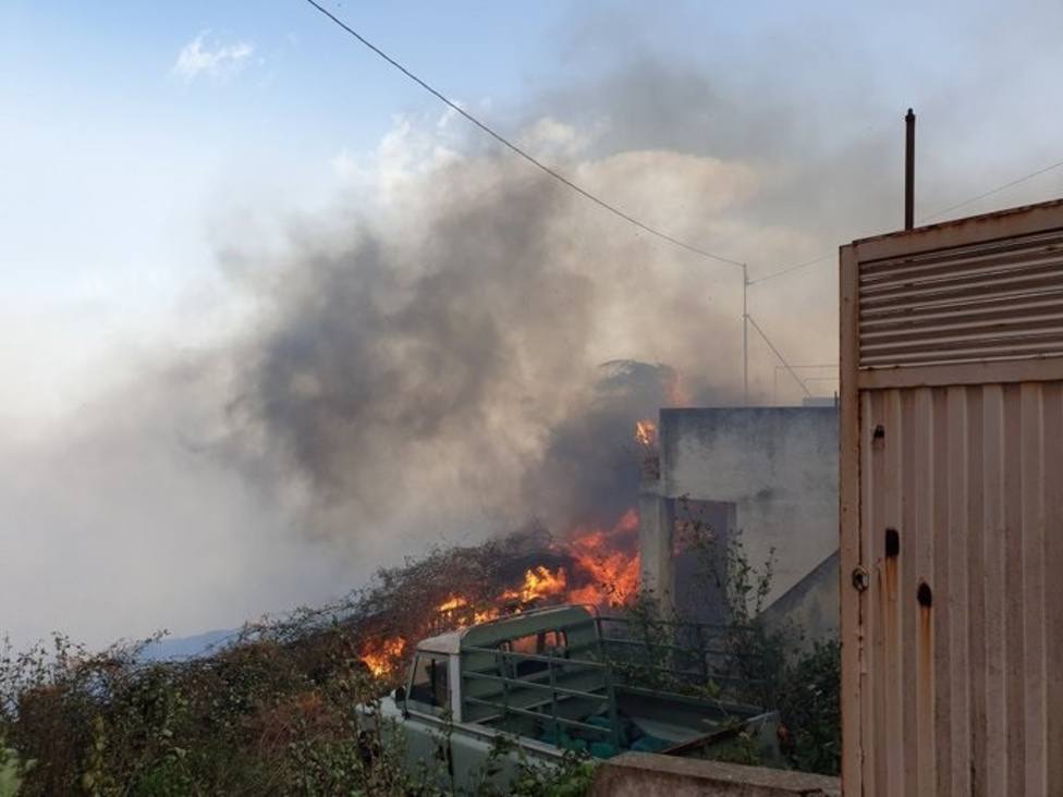 El viento y la calima dificultan el control del incendio de Gran Canaria