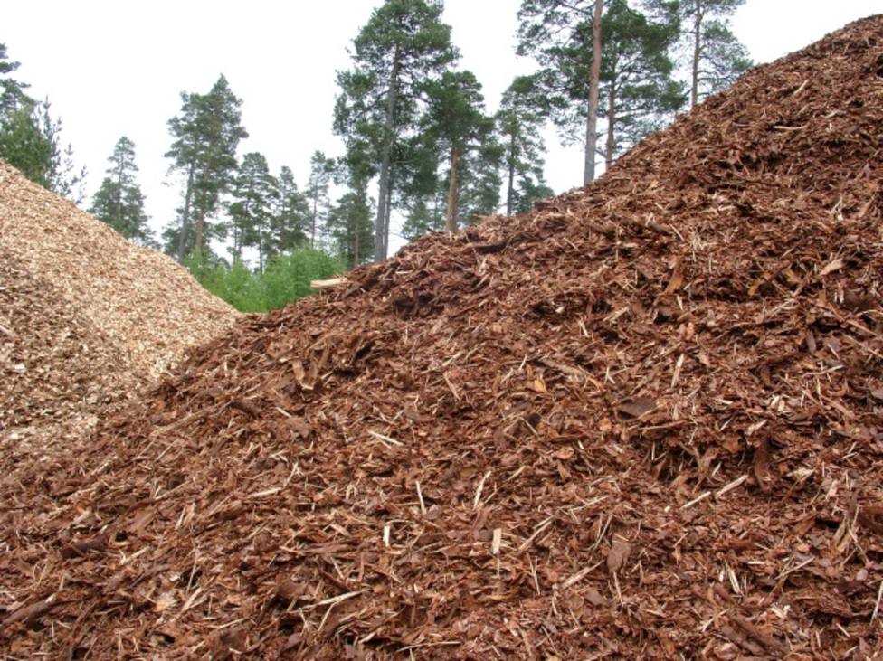 ctv-buh-biomasa 2016