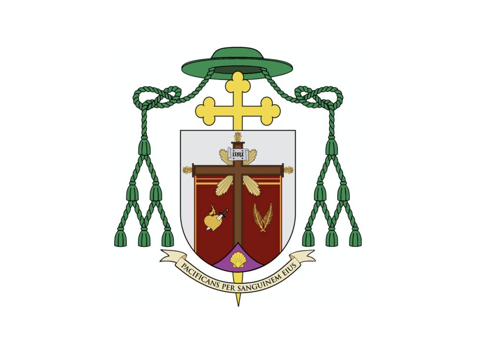 ctv-hbv-escudo obispo santiago gomez
