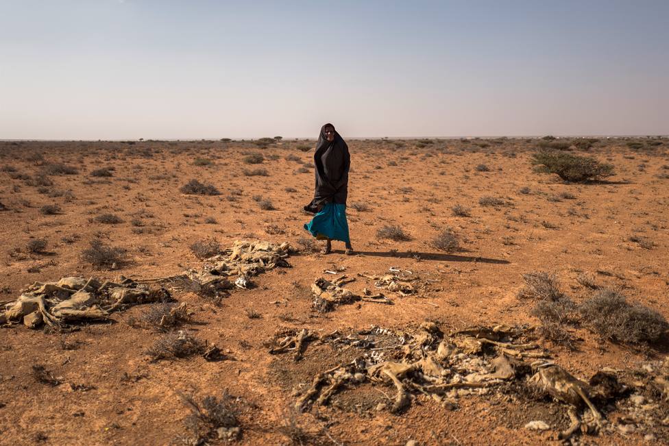Alrededor de 2,6 millones de personas se encuentran desplazadas en Somalia por el conflicto y la sequía