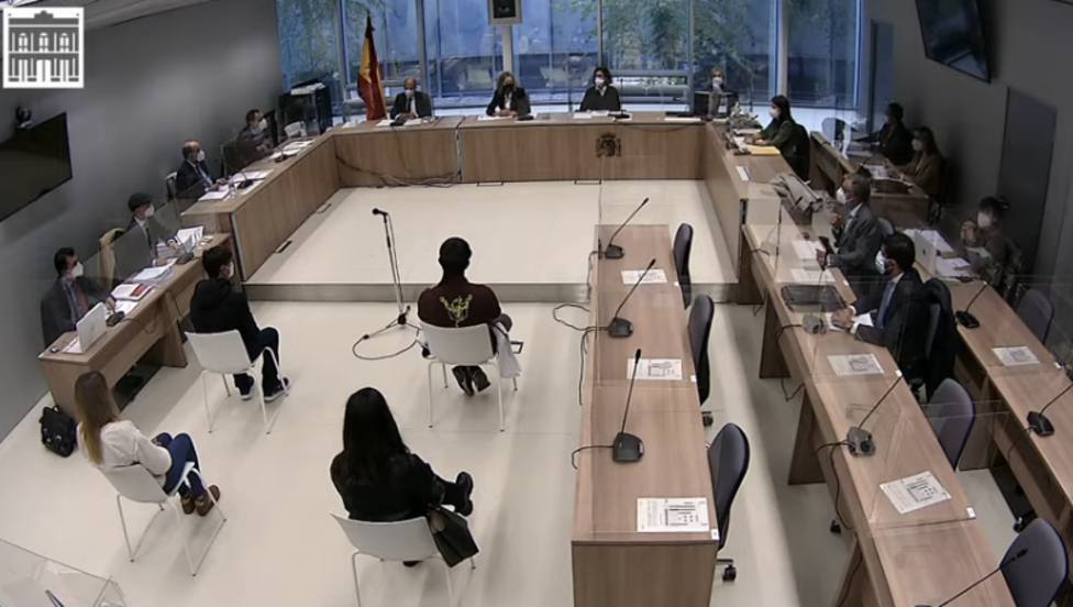 La defensa pide absolución y nulidad del proceso contra payasos justicieros por quemar 60 coches en Logroño