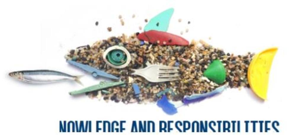 conferencia internacional sobre «Polución por plásticos