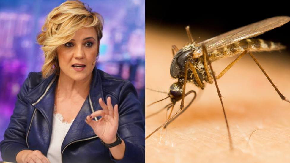 Cristina Pardo revela su truco para que no le piquen los mosquitos: recomendado por un experto