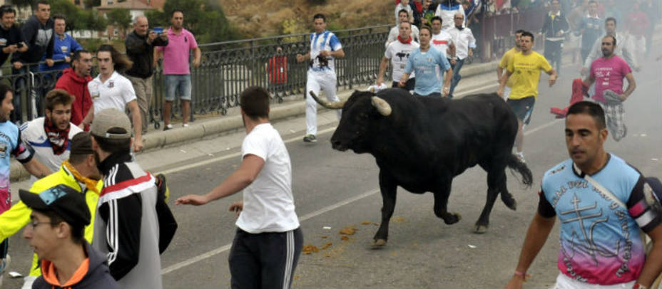 El Toro de la Peña durante su recorrido este lunes por las calles de la villa de Tordesillas. EFE