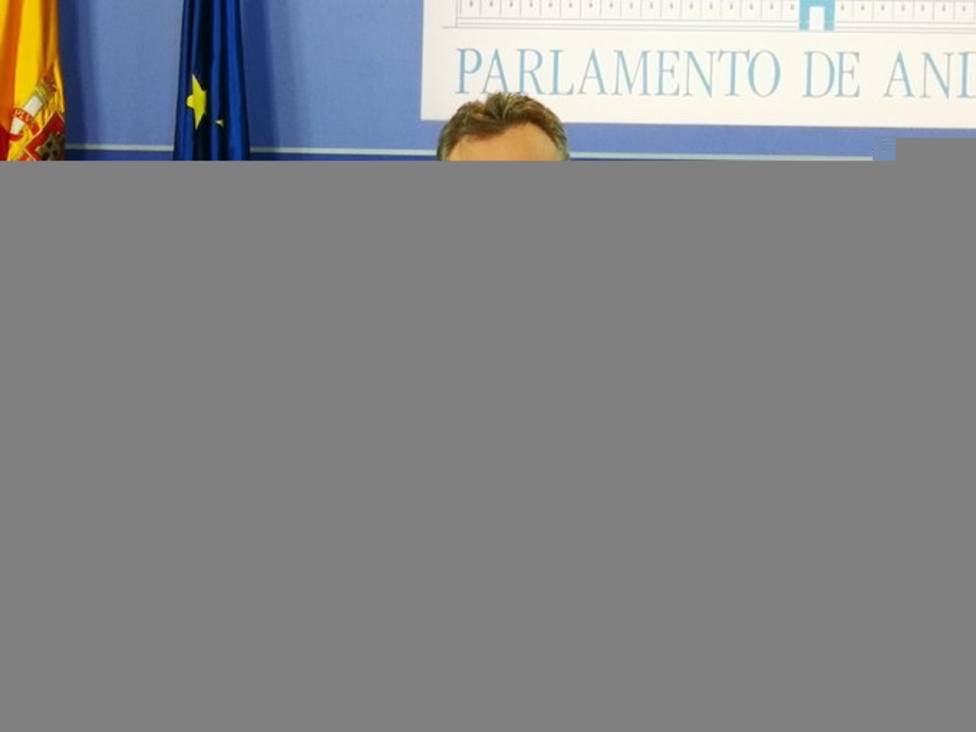 PSOE-A, seguro de que los acuerdos para la investidura se encuadrarán en la Constitución y no perjudicarán a Andalucía