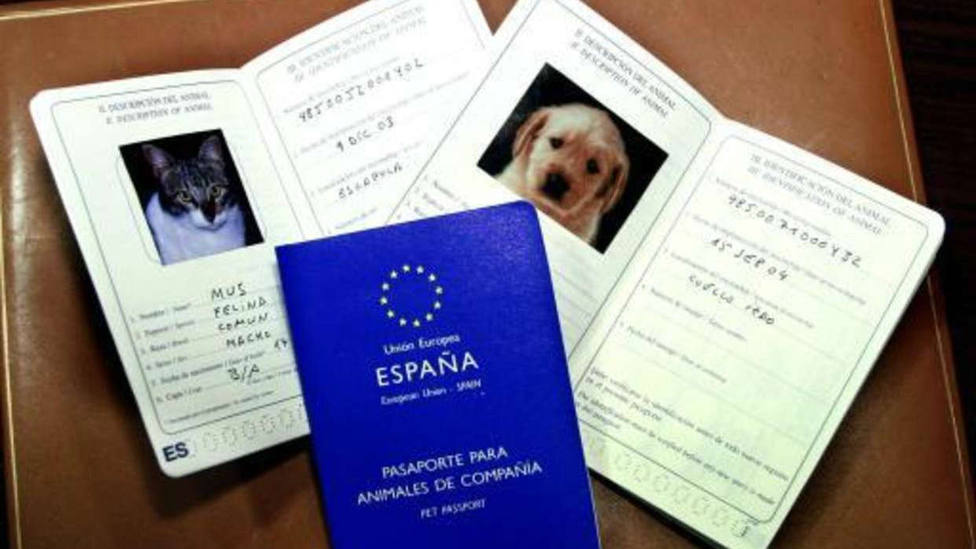 ¿Por qué tu mascota debe viajar también con pasaporte?