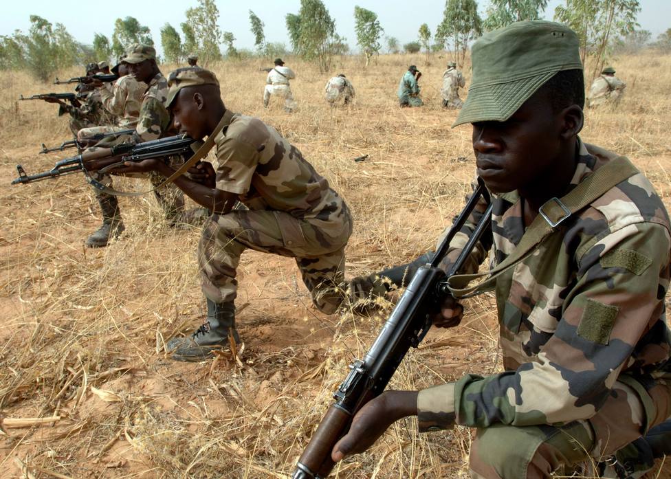 Al menos 19 muertos en un ataque a una aldea de Níger