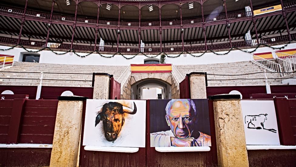Detalle de las obras dedicadas a Picasso que decorarán las tablas de la plaza de toros de Málaga