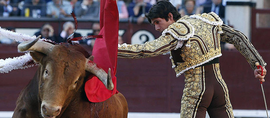 Jabatillo y Sebastián Castella, mejor toro y torero triunfador de la Feria de San Isidro 2015 respectivamente. EFE