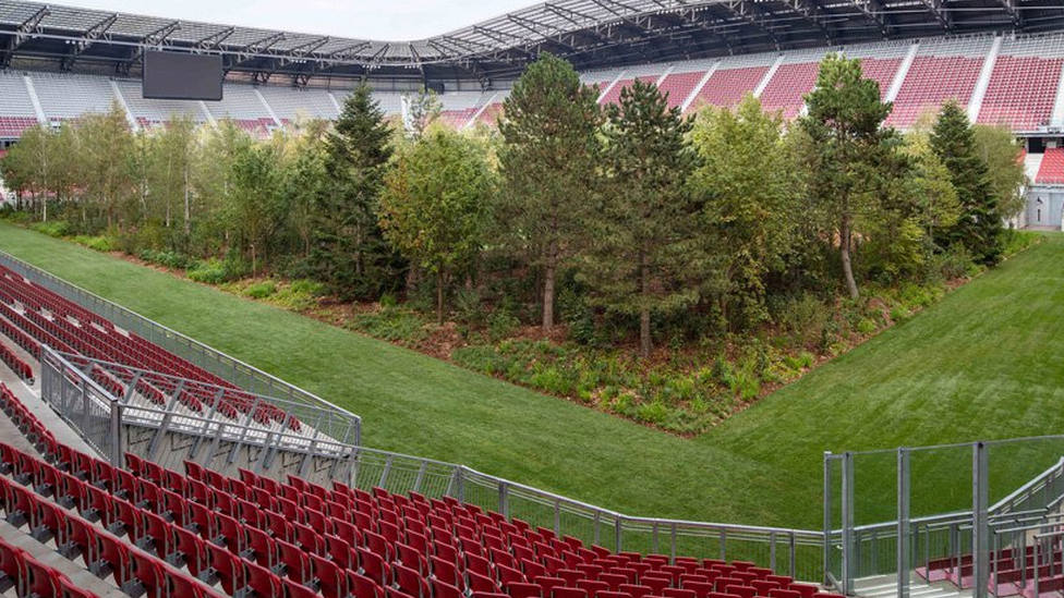 Aparece un inquietante bosque dentro de un estadio de fútbol en Austria