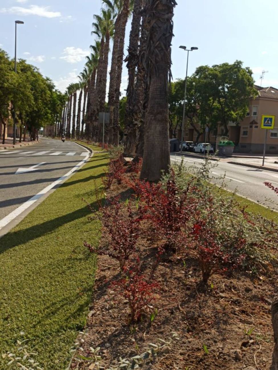 El Ayuntamiento aumenta la biodiversidad urbana y mejora la calidad ambiental