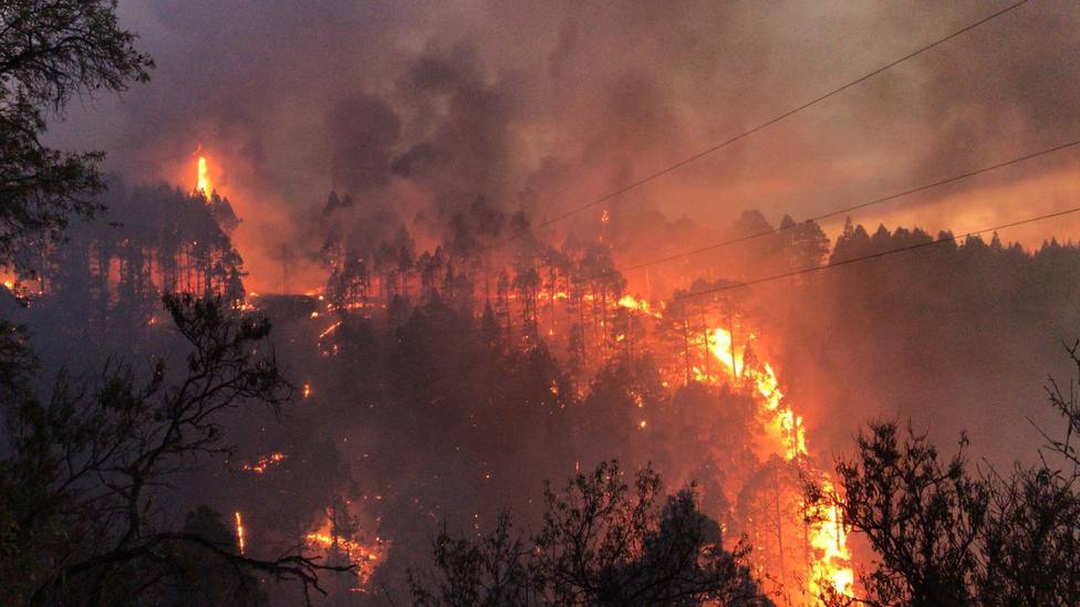 Un gran incendio en Palma obliga a cortar carreteras y a desalojar a vecinos de sus casas