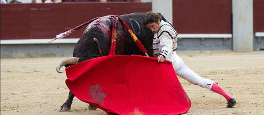 Doblón de Fernando Robleño al primer toro de la corrida de Baltasar Ibán. LAS-VENTAS.COM