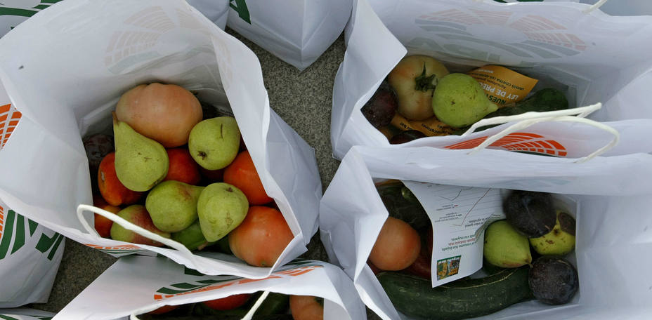 Los consumidores, detrás de 3 de 4 frutas desperdiciadas. EFE