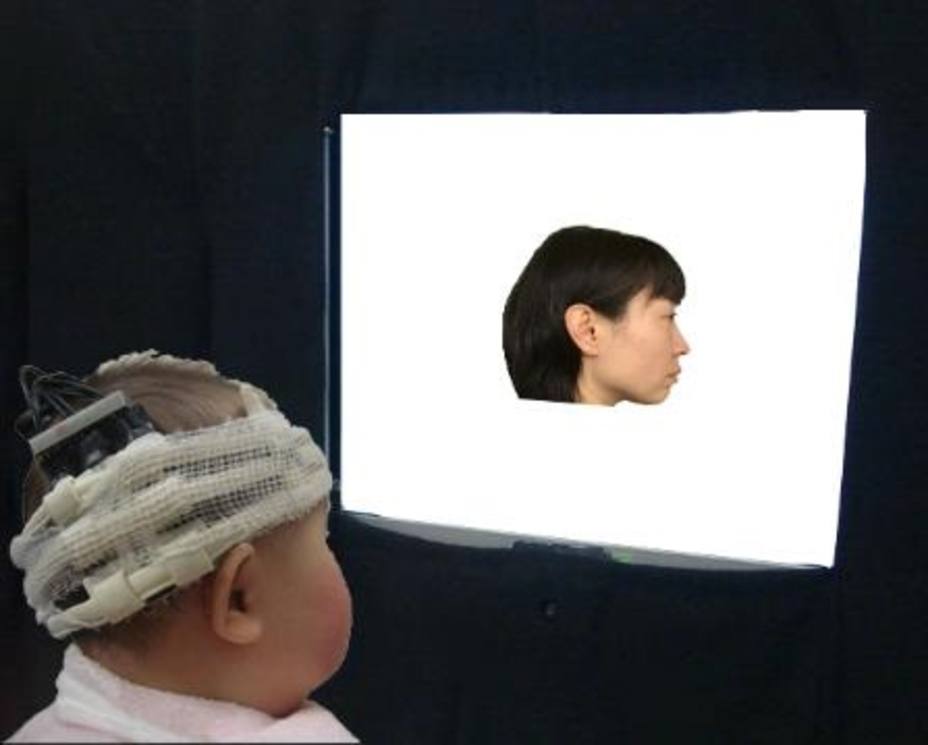 Un estudio revela que los bebés no reconocen las caras de perfil hasta los 6 meses de edad
