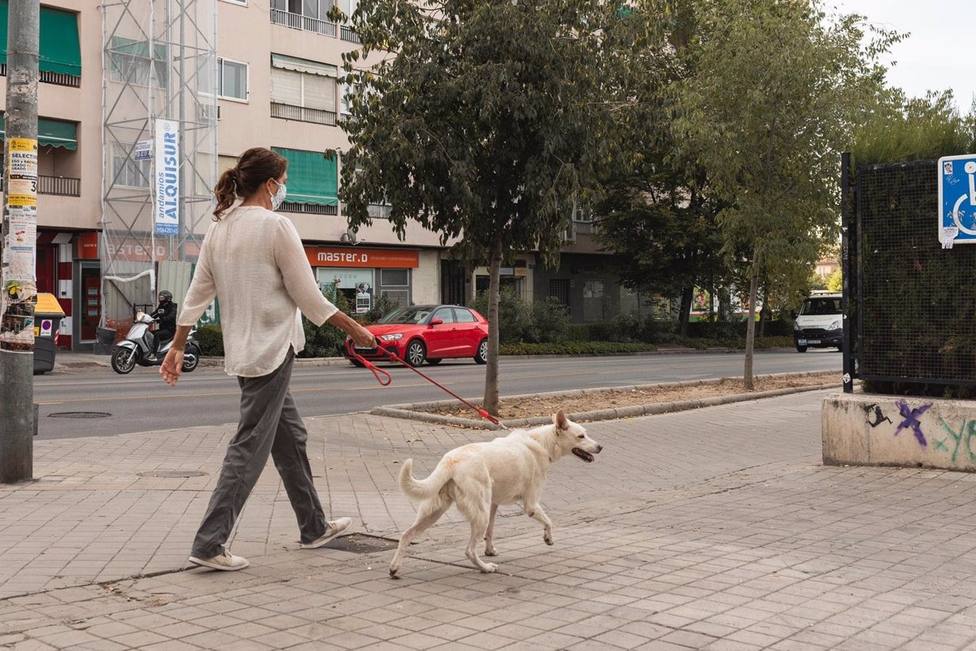 Granada.-Coronavirus.-Vivir con perro y la entrega a domicilio, factores de riesgo en el confinamiento segÃºn un estudio
