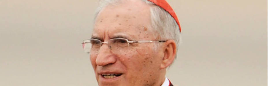 Portada de la obra sobre el cardenal Rouco-Varela