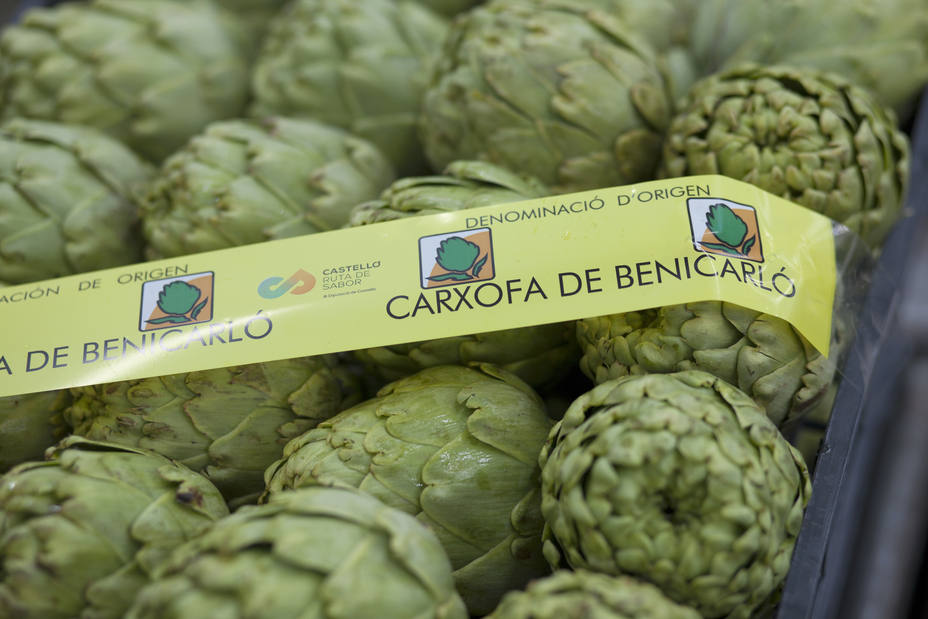 Benicarló registra un nuevo récord en la venta de alcachofa