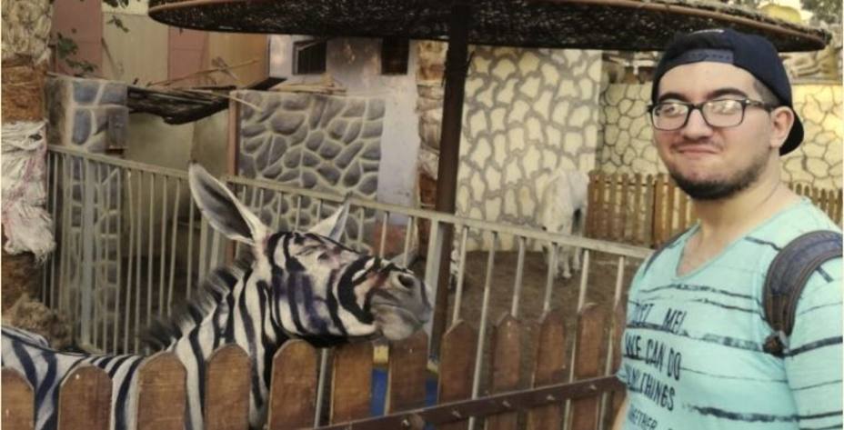 Un Zoo de El Cairo cerrado por pintar rayas negas a una burra