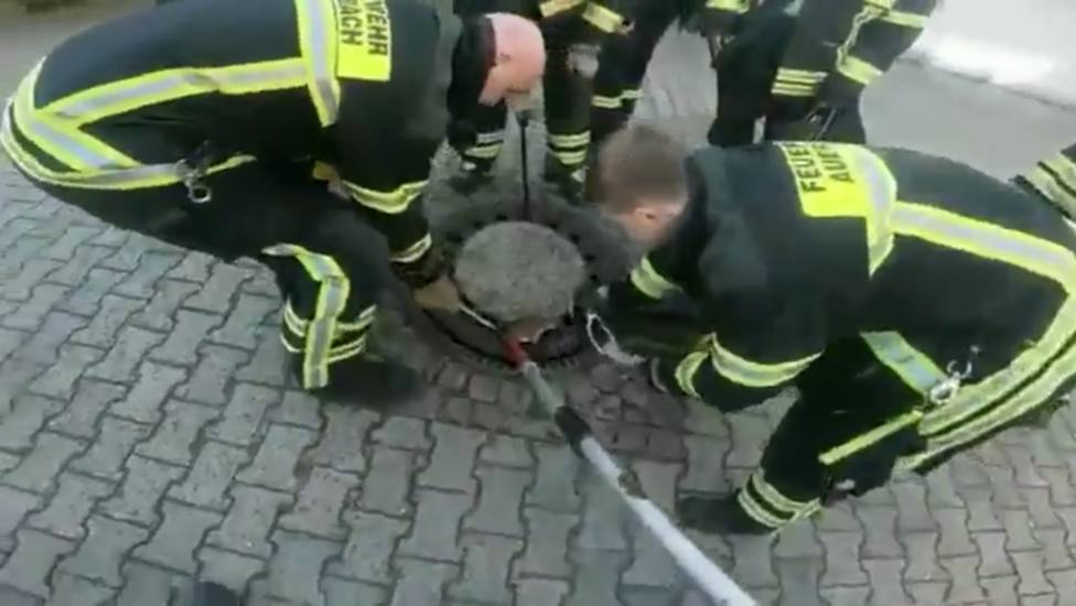 Los valientes bomberos rescatando a la rata encerrada