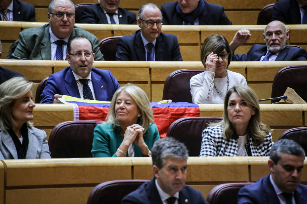 Cosidó insiste en que la mayoría del PP en el Senado es fundamental para preservar la unidad de España
