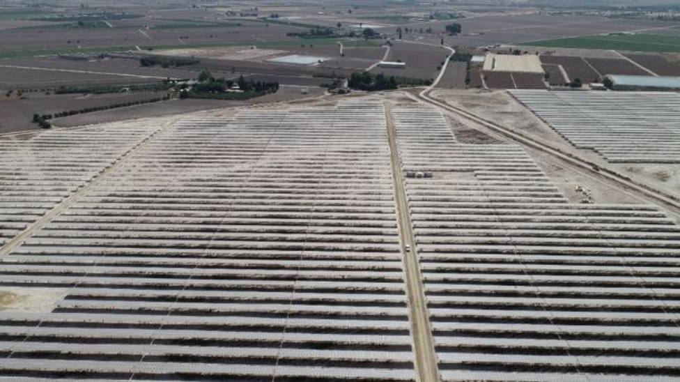 ANSE presenta alegaciones contra la planta solar de Zarcilla de Ramos por su impacto ambiental