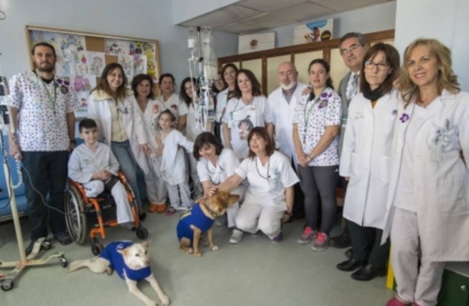 Garbanzo, Padi y Pecas forman la primera unidad de terapia canina de Andalucía
