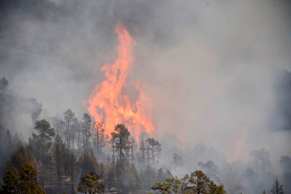 El incendio en Tijarafe, La Palma, afecta 30 hectáreas
