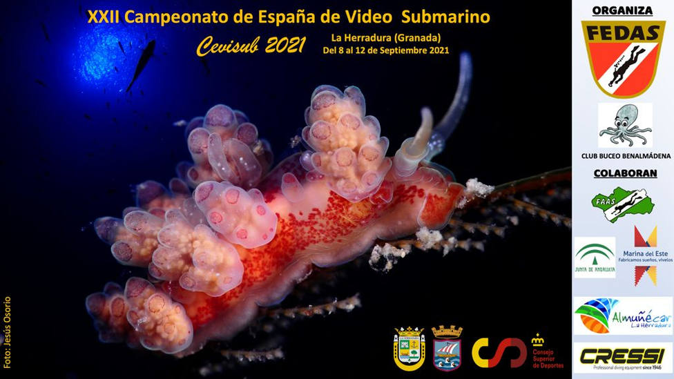 Se celebra en La Herradura el XXII Campeonato de España de Vídeo Submarino