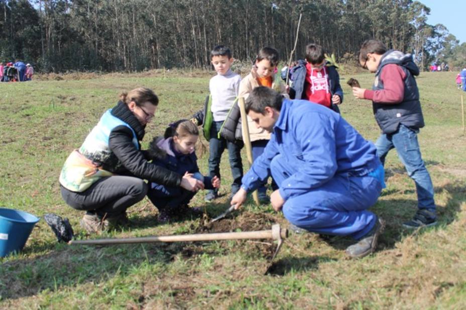 Unos 150 escolares han participado en el programa de reforestación del Ayuntamiento plantando árboles autóctonos en el entorno de la piscina