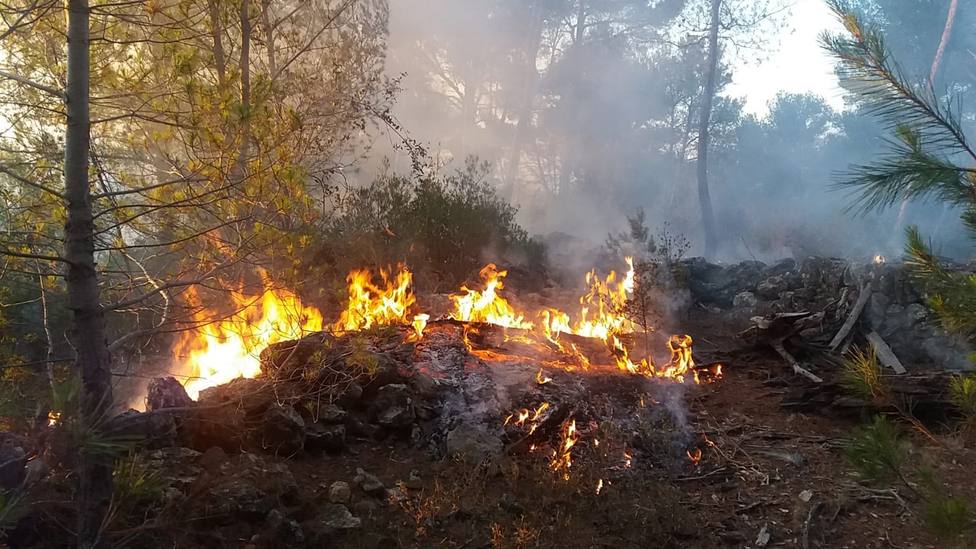 Dos medios aéreos y más de 20 personas actúan en las labores de extinción de un incendio en Palma